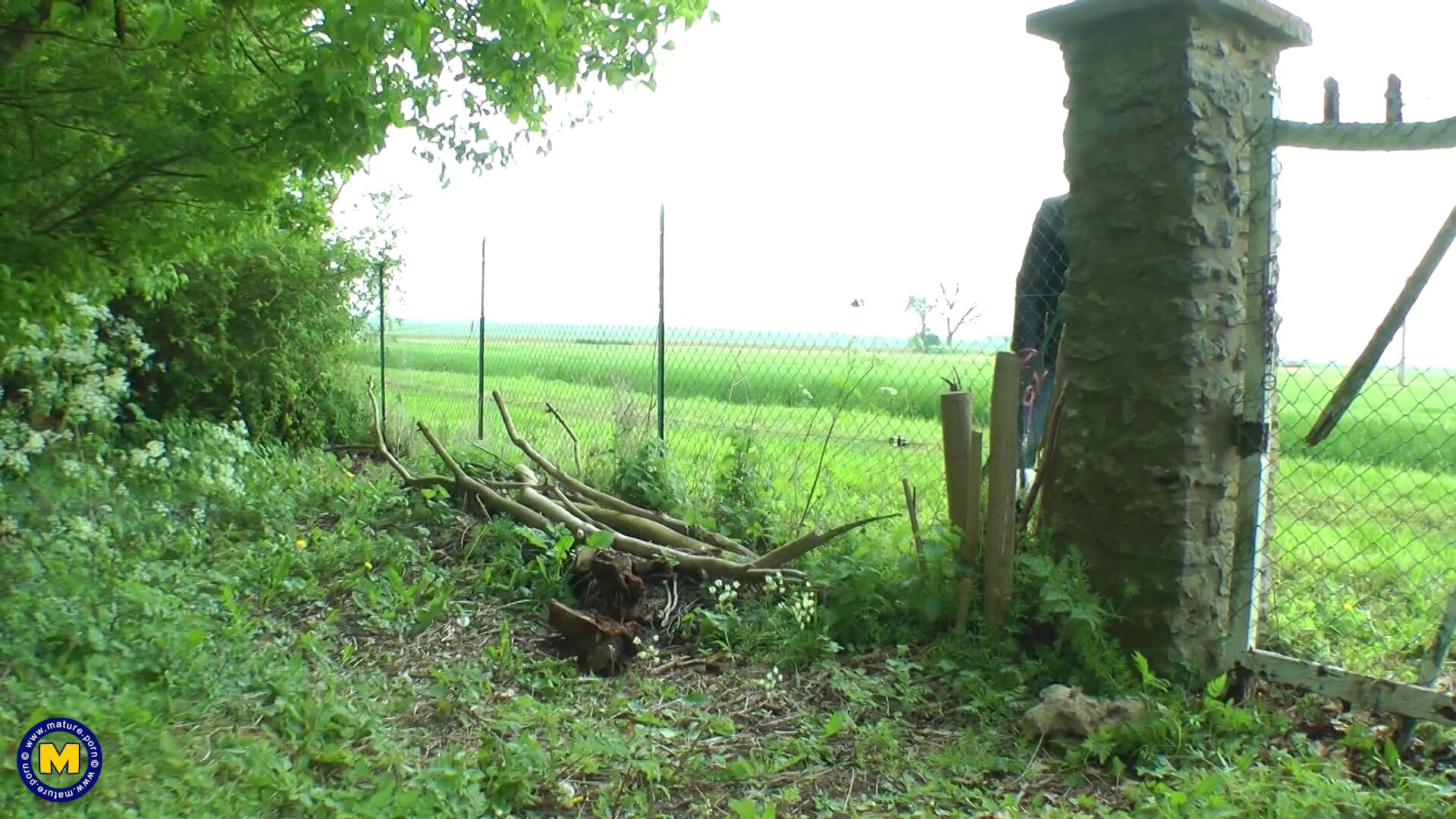 Blog image 1